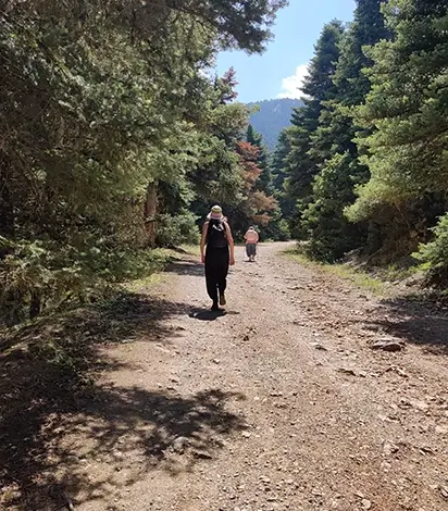 Trekking στους Δελφούς - Δελφοί Trekking. Πεζοπορία στον Παρνασσό και τους Δελφούς